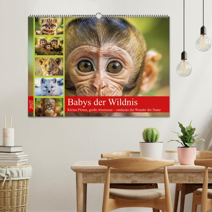 Babys der Wildnis (CALVENDO Wandkalender 2027)