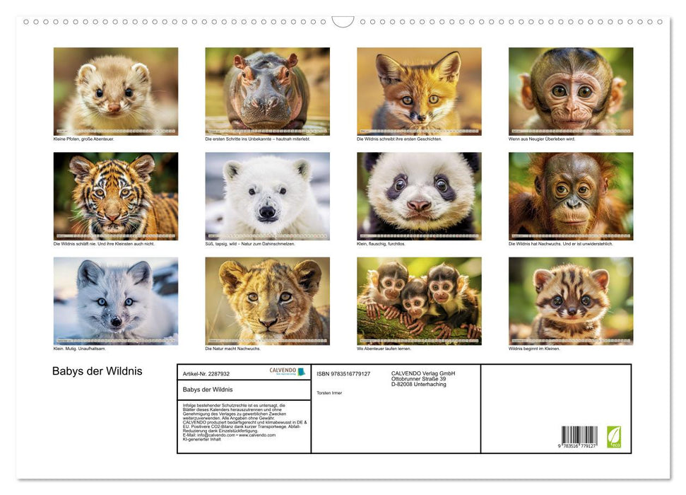 Babys der Wildnis (CALVENDO Wandkalender 2027)