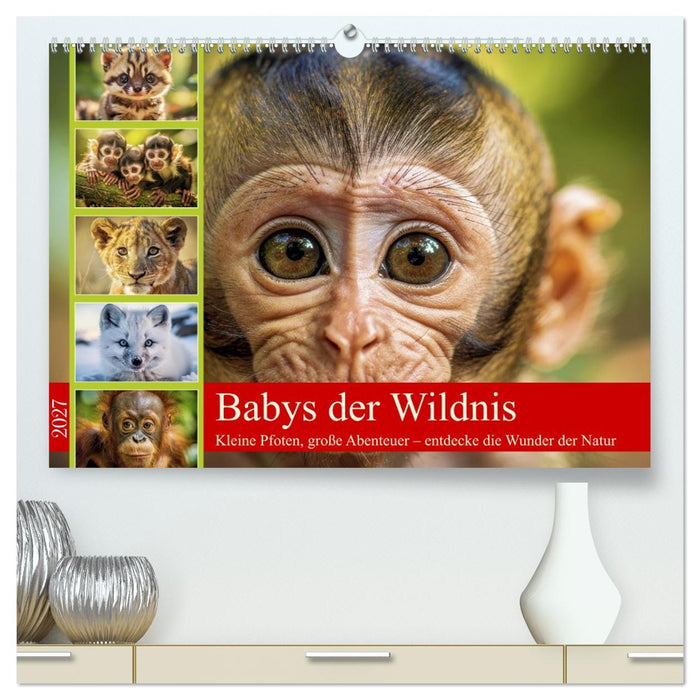Babys der Wildnis (CALVENDO Premium Wandkalender 2027)