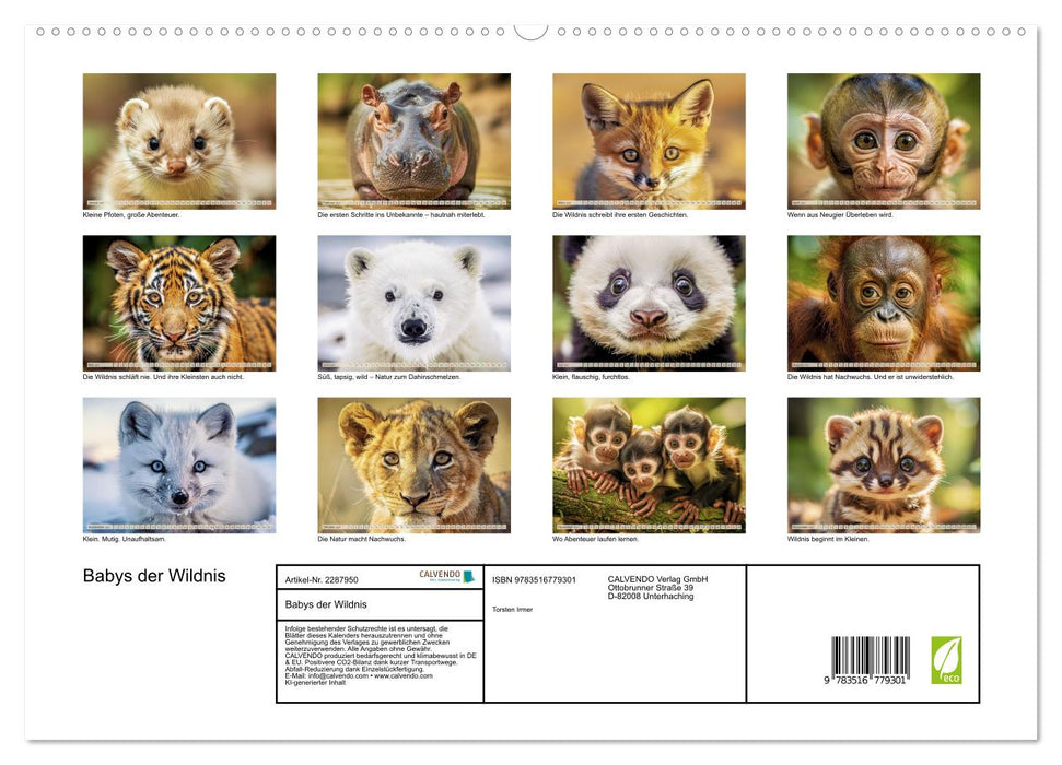 Babys der Wildnis (CALVENDO Premium Wandkalender 2027)
