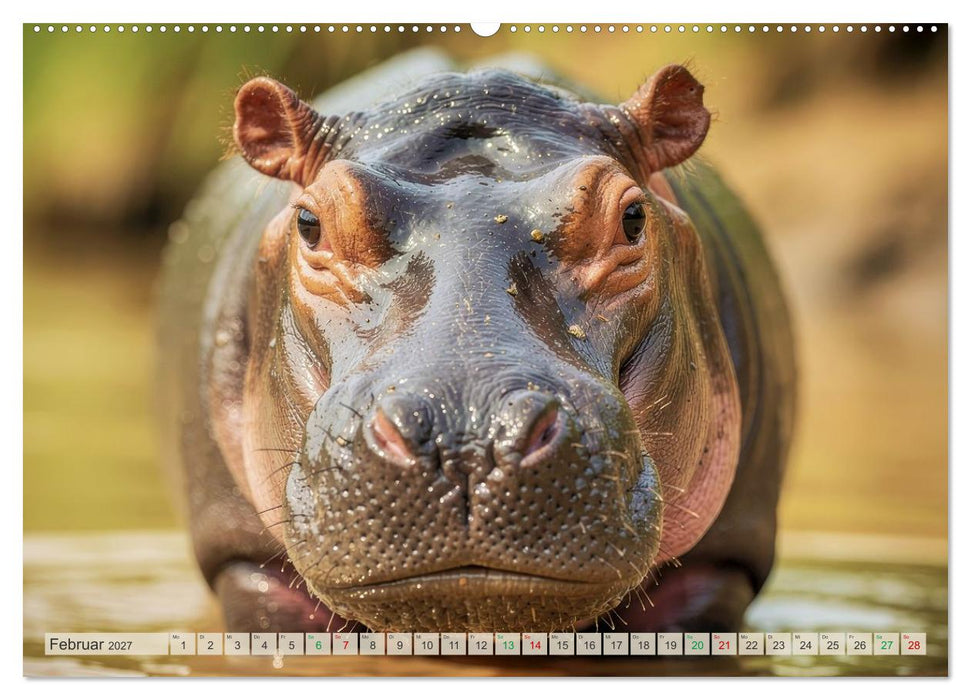 Babys der Wildnis (CALVENDO Premium Wandkalender 2027)