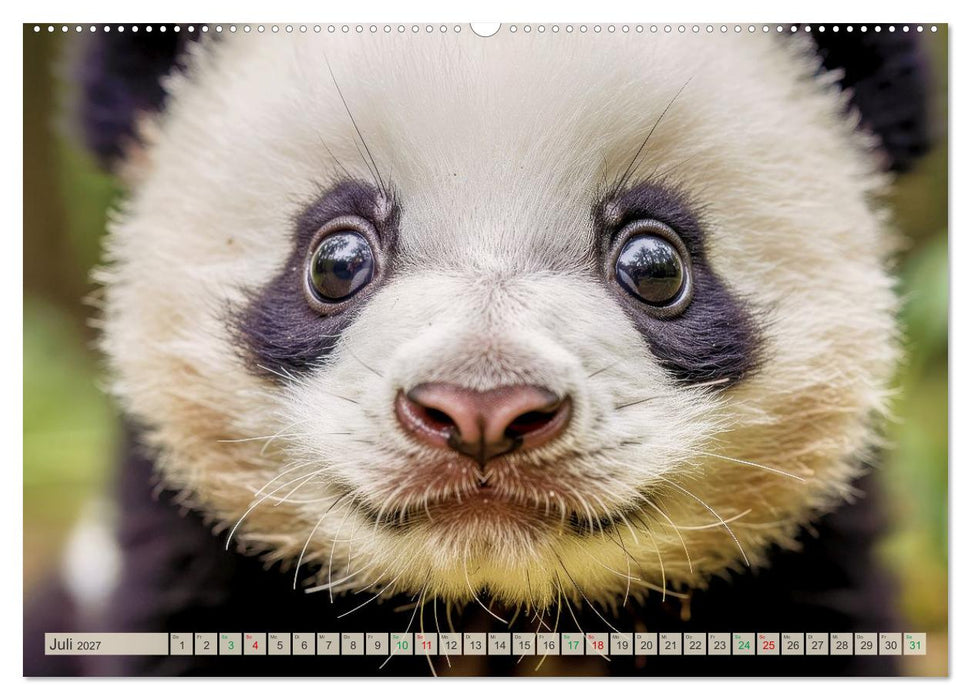Babys der Wildnis (CALVENDO Premium Wandkalender 2027)