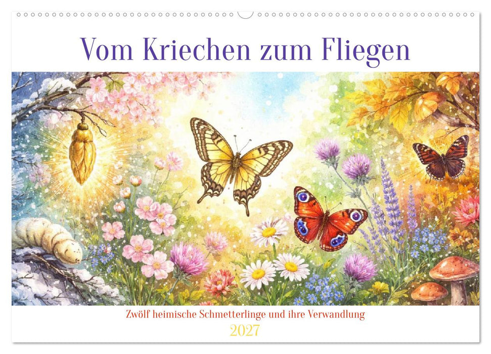 Vom Kriechen zum Fliegen (CALVENDO Wandkalender 2027)