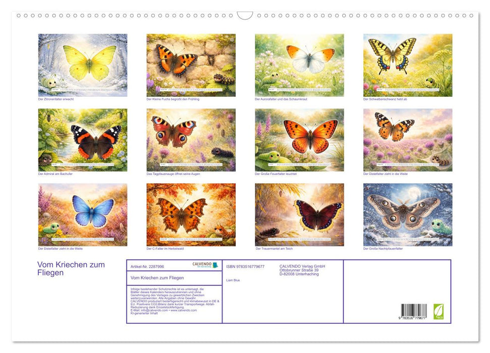 Vom Kriechen zum Fliegen (CALVENDO Wandkalender 2027)