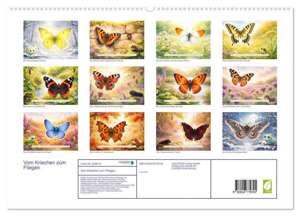 Vom Kriechen zum Fliegen (CALVENDO Premium Wandkalender 2027)