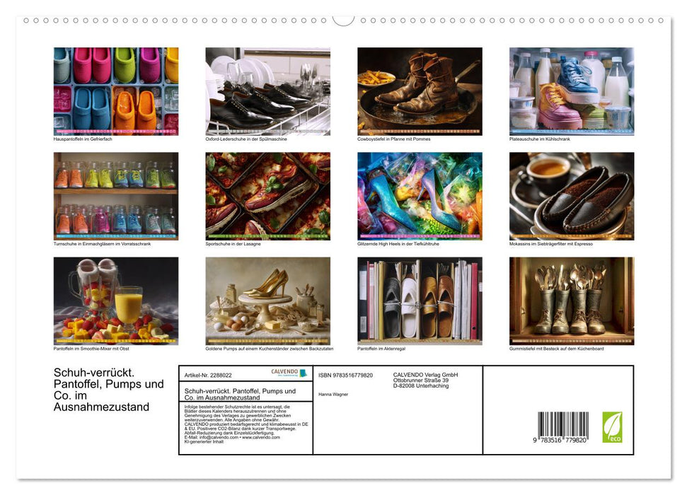 Schuh-verrückt. Pantoffel, Pumps und Co. im Ausnahmezustand (CALVENDO Premium Wandkalender 2027)
