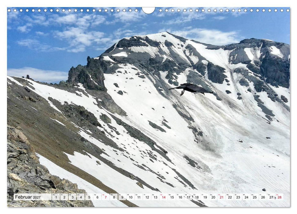 ALPEN-BLICK (CALVENDO Wandkalender 2027)