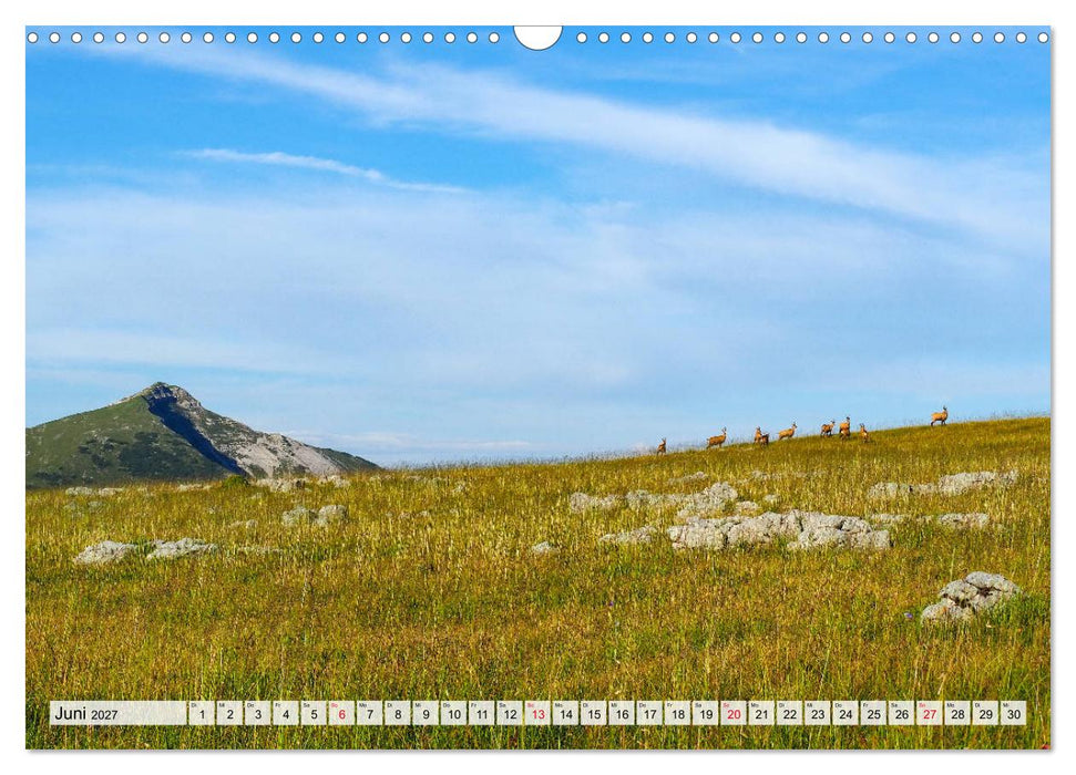 ALPEN-BLICK (CALVENDO Wandkalender 2027)