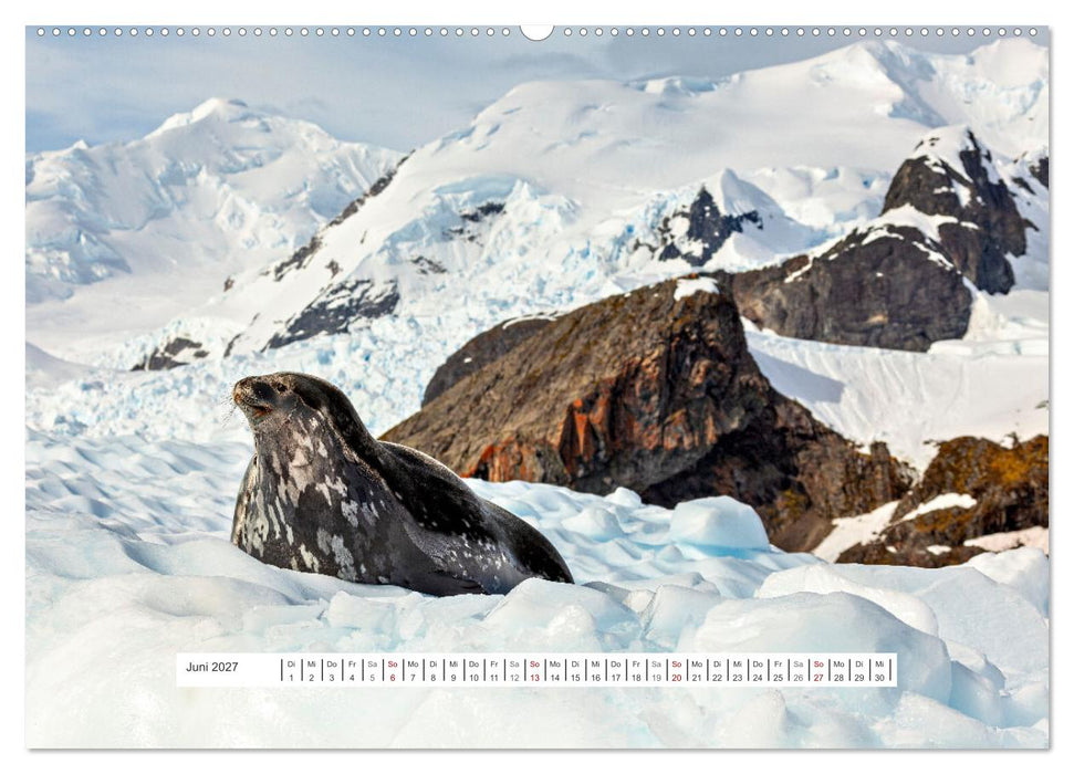 Expedition Antarktis (CALVENDO Premium Wandkalender 2027)