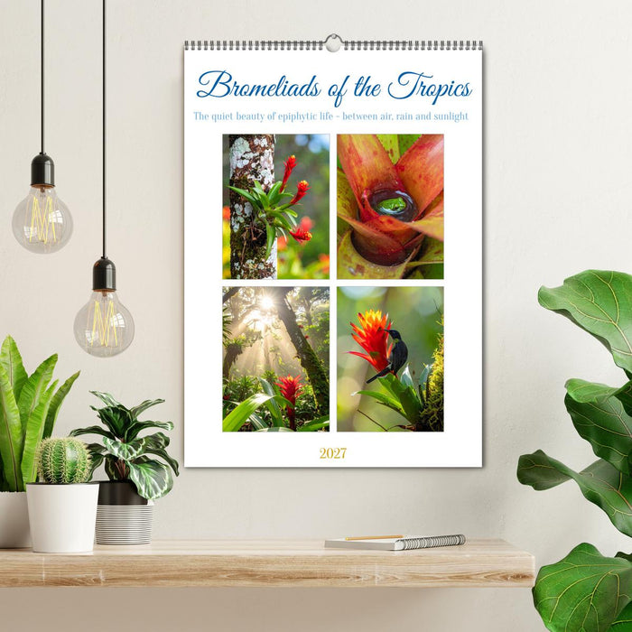 Bromeliads of the Tropics (CALVENDO Monthly Calendar 2027)