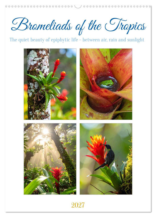 Bromeliads of the Tropics (CALVENDO Monthly Calendar 2027)