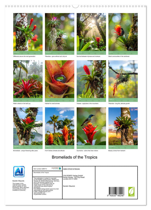 Bromeliads of the Tropics (CALVENDO Premium-Calendar 2027)