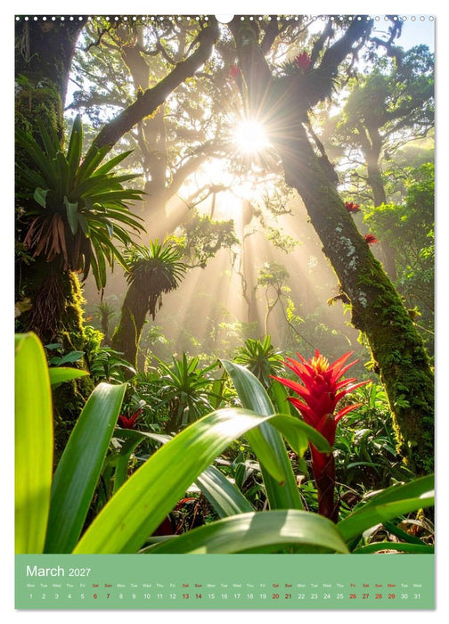 Bromeliads of the Tropics (CALVENDO Premium-Calendar 2027)