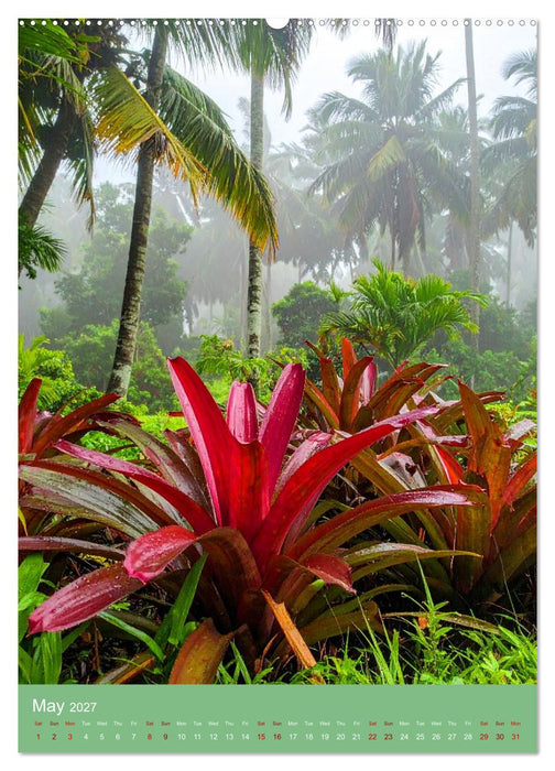Bromeliads of the Tropics (CALVENDO Premium-Calendar 2027)