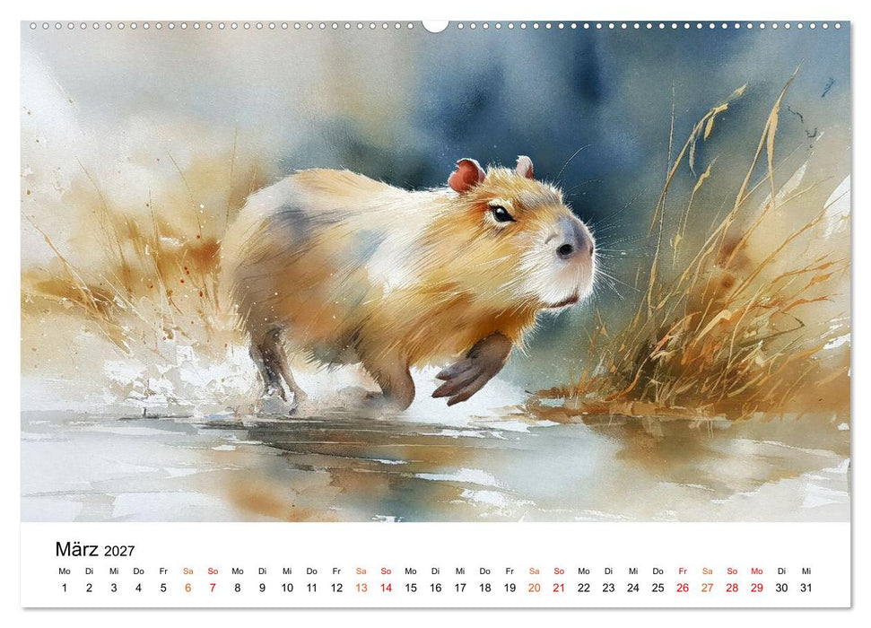 Capybara - die Kunst des gelassenen Daseins (CALVENDO Wandkalender 2027)