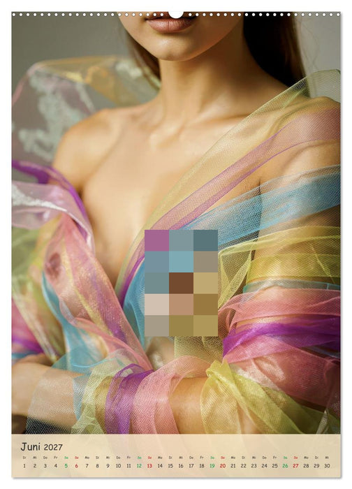 Sexy Girls in Tüll (CALVENDO Wandkalender 2027)