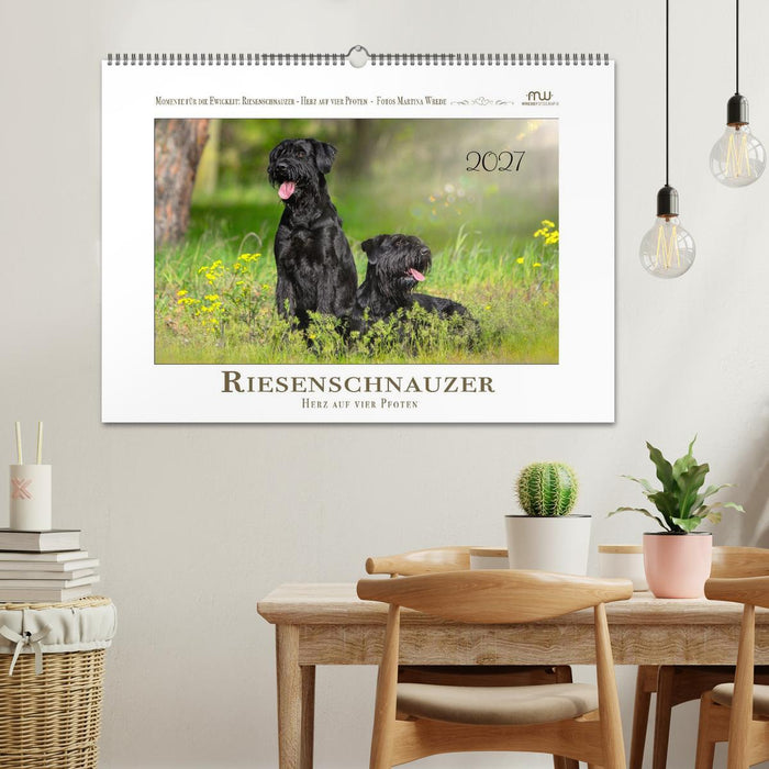Riesenschnauzer - Herz auf vier Pfoten (CALVENDO Wandkalender 2027)
