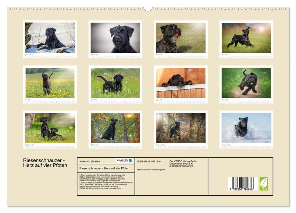 Riesenschnauzer - Herz auf vier Pfoten (CALVENDO Premium Wandkalender 2027)