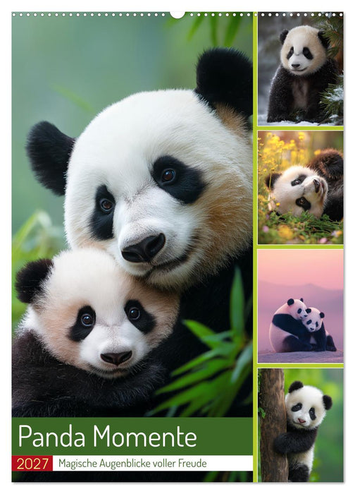 Panda Momente (CALVENDO Wandkalender 2027)