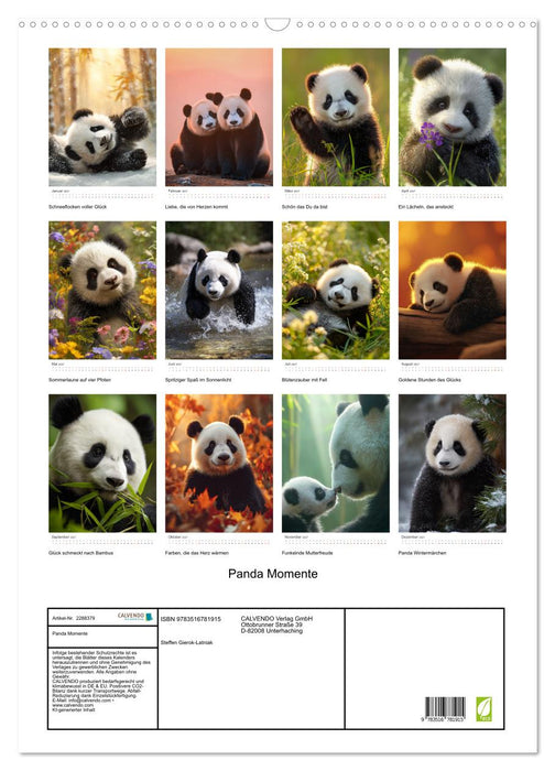 Panda Momente (CALVENDO Wandkalender 2027)