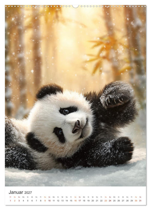 Panda Momente (CALVENDO Wandkalender 2027)