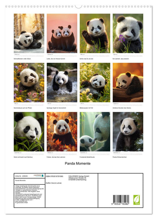 Panda Momente (CALVENDO Premium Wandkalender 2027)