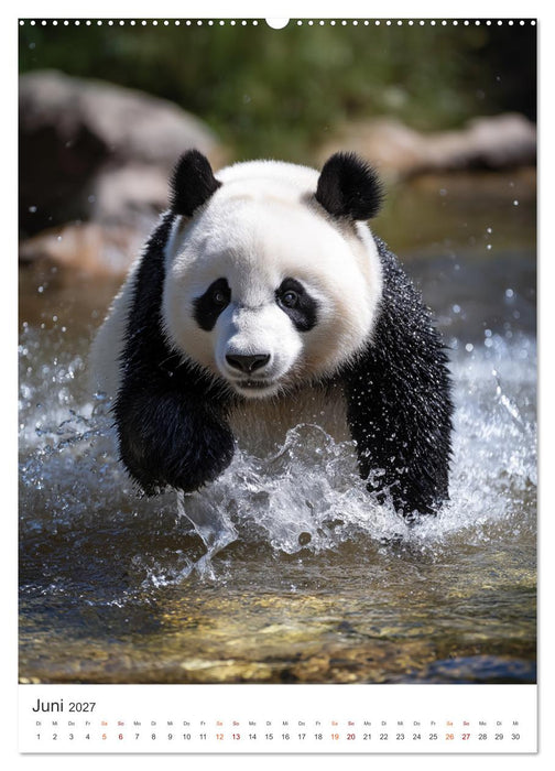 Panda Momente (CALVENDO Premium Wandkalender 2027)