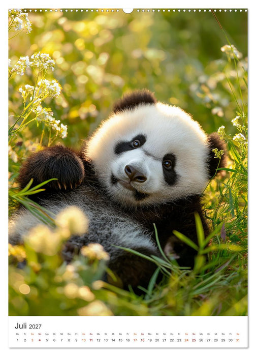 Panda Momente (CALVENDO Premium Wandkalender 2027)