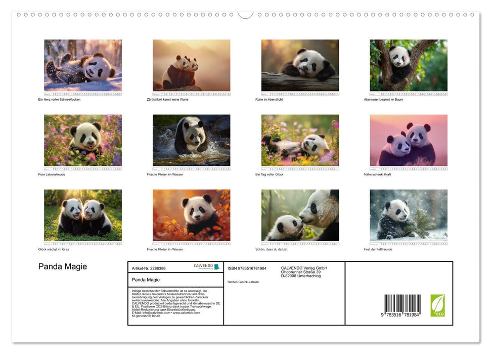 Panda Magie (CALVENDO Premium Wandkalender 2027)