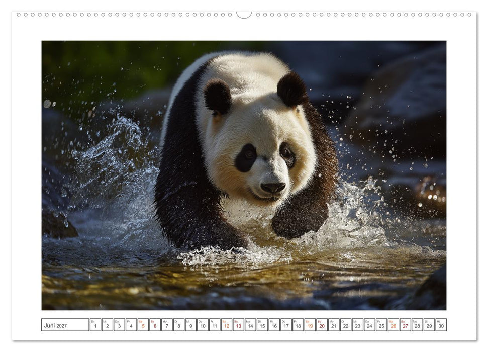 Panda Magie (CALVENDO Premium Wandkalender 2027)