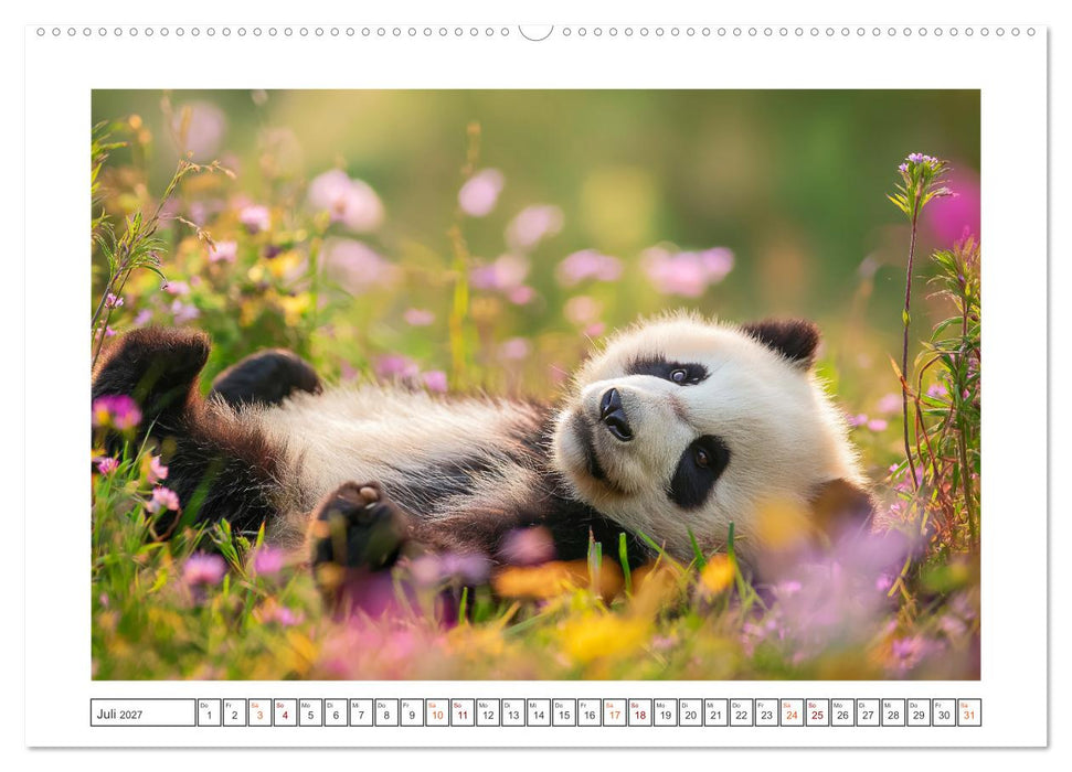 Panda Magie (CALVENDO Premium Wandkalender 2027)