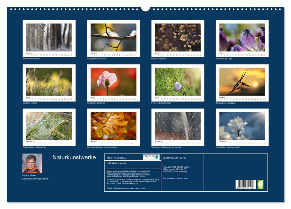 Naturkunstwerke (CALVENDO Wandkalender 2027)