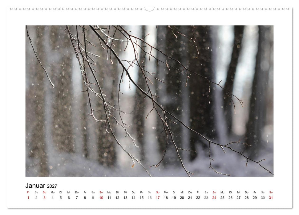 Naturkunstwerke (CALVENDO Wandkalender 2027)