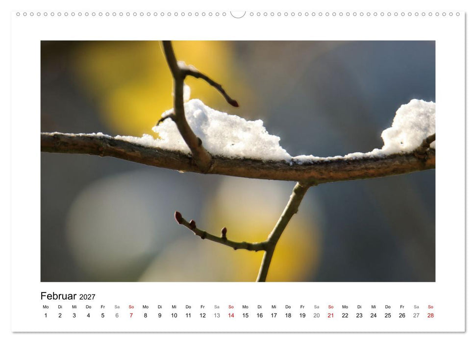 Naturkunstwerke (CALVENDO Wandkalender 2027)