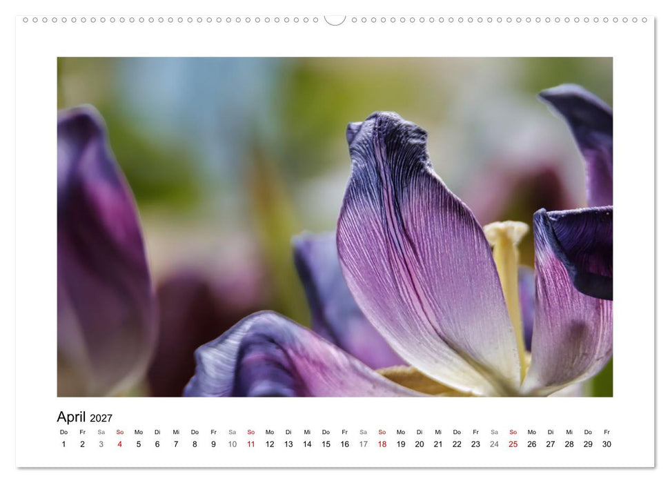 Naturkunstwerke (CALVENDO Wandkalender 2027)