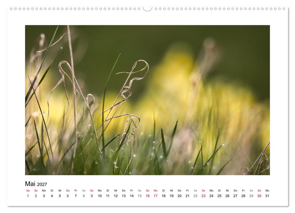 Naturkunstwerke (CALVENDO Wandkalender 2027)