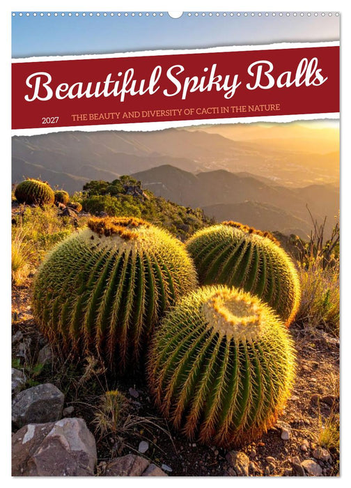 Beautiful Spiky Balls (CALVENDO Monthly Calendar 2027)
