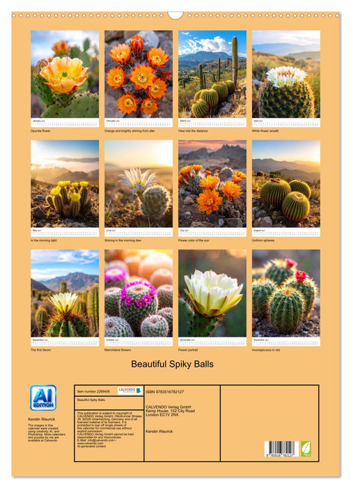 Beautiful Spiky Balls (CALVENDO Monthly Calendar 2027)