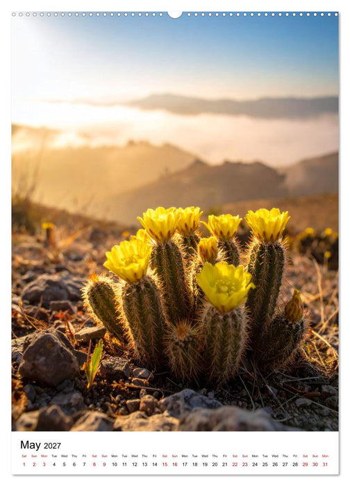 Beautiful Spiky Balls (CALVENDO Monthly Calendar 2027)
