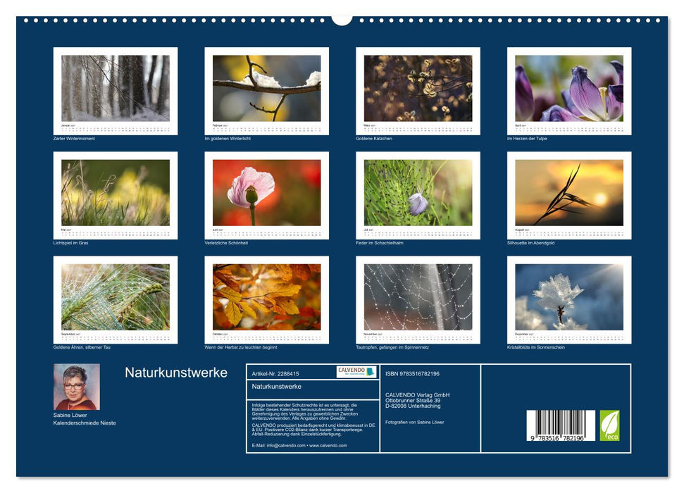 Naturkunstwerke (CALVENDO Premium Wandkalender 2027)