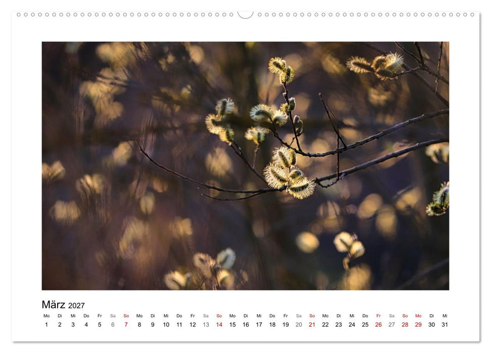 Naturkunstwerke (CALVENDO Premium Wandkalender 2027)