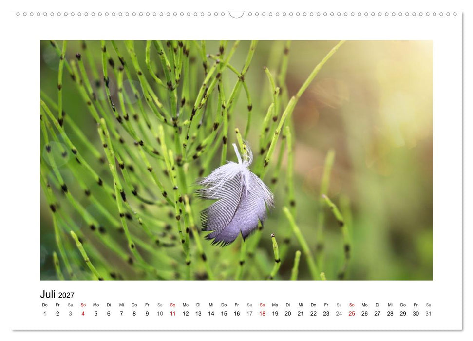 Naturkunstwerke (CALVENDO Premium Wandkalender 2027)