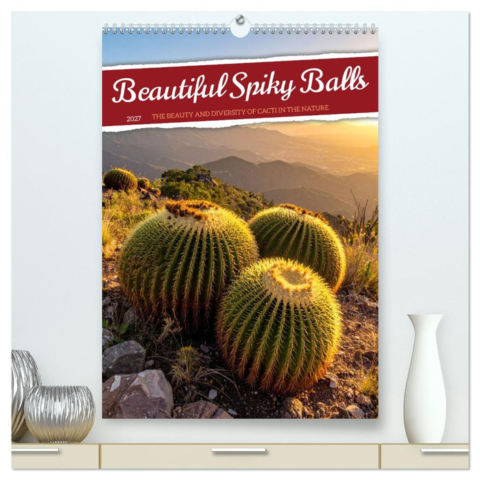 Beautiful Spiky Balls (CALVENDO Premium-Calendar 2027)