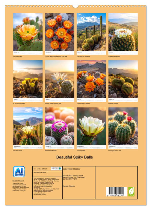 Beautiful Spiky Balls (CALVENDO Premium-Calendar 2027)