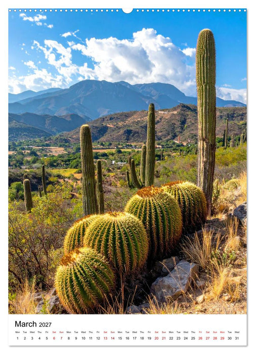 Beautiful Spiky Balls (CALVENDO Premium-Calendar 2027)