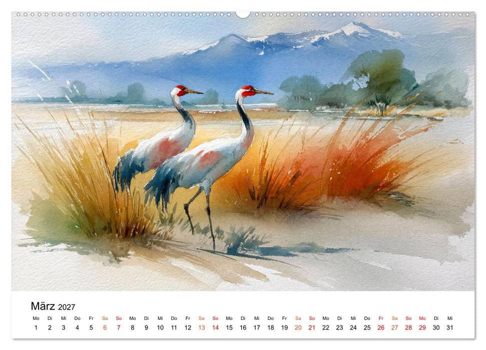 Kraniche zwischen Wind und Weite (CALVENDO Wandkalender 2027)
