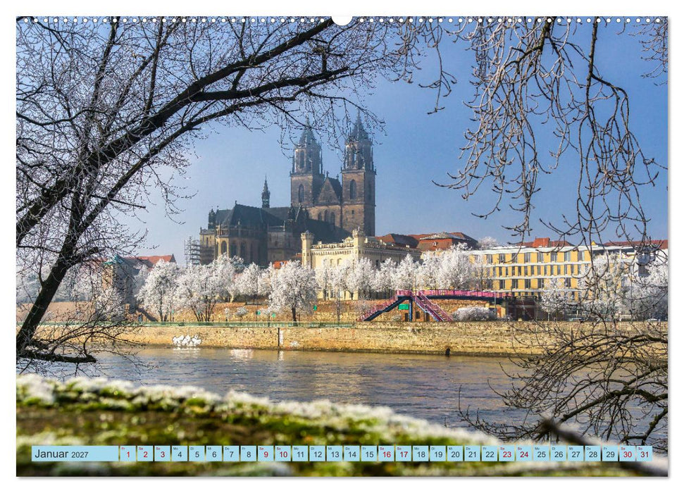 Magdeburger Dom 2027 (CALVENDO Wandkalender 2027)