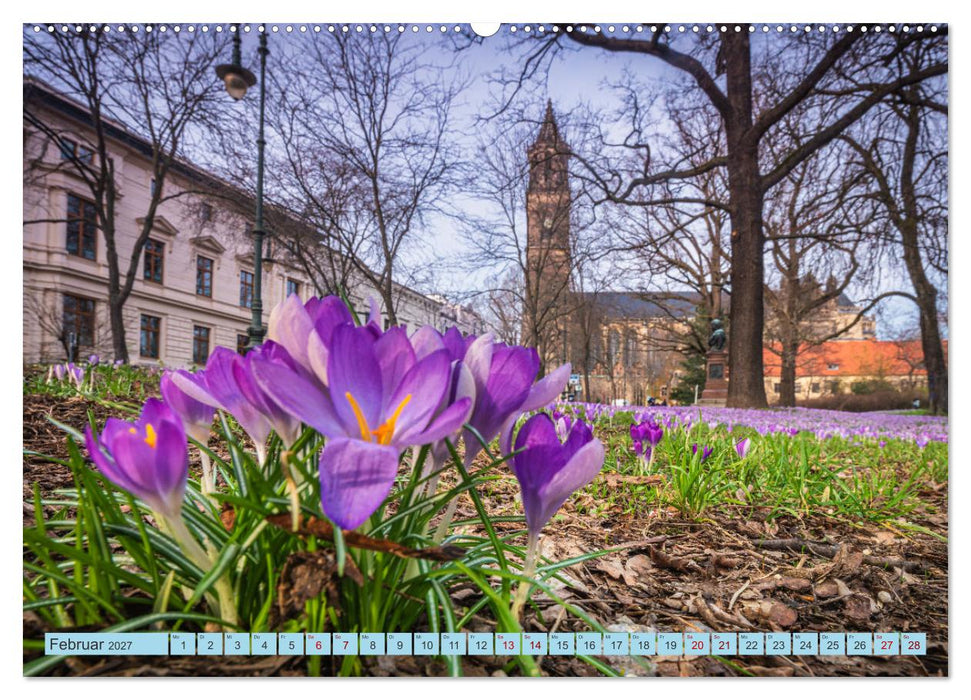 Magdeburger Dom 2027 (CALVENDO Wandkalender 2027)