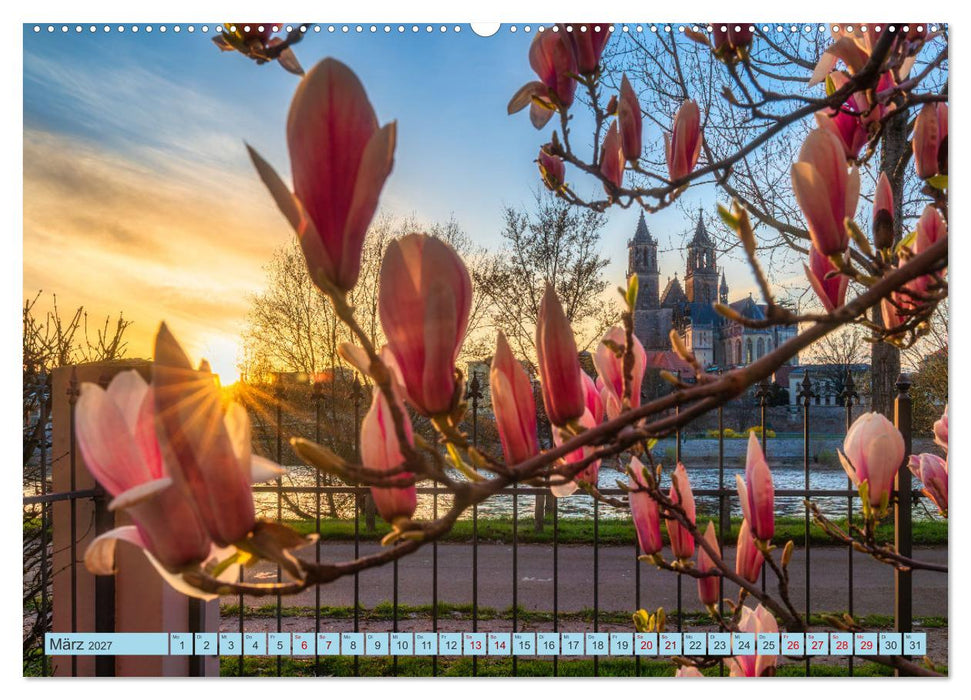 Magdeburger Dom 2027 (CALVENDO Wandkalender 2027)