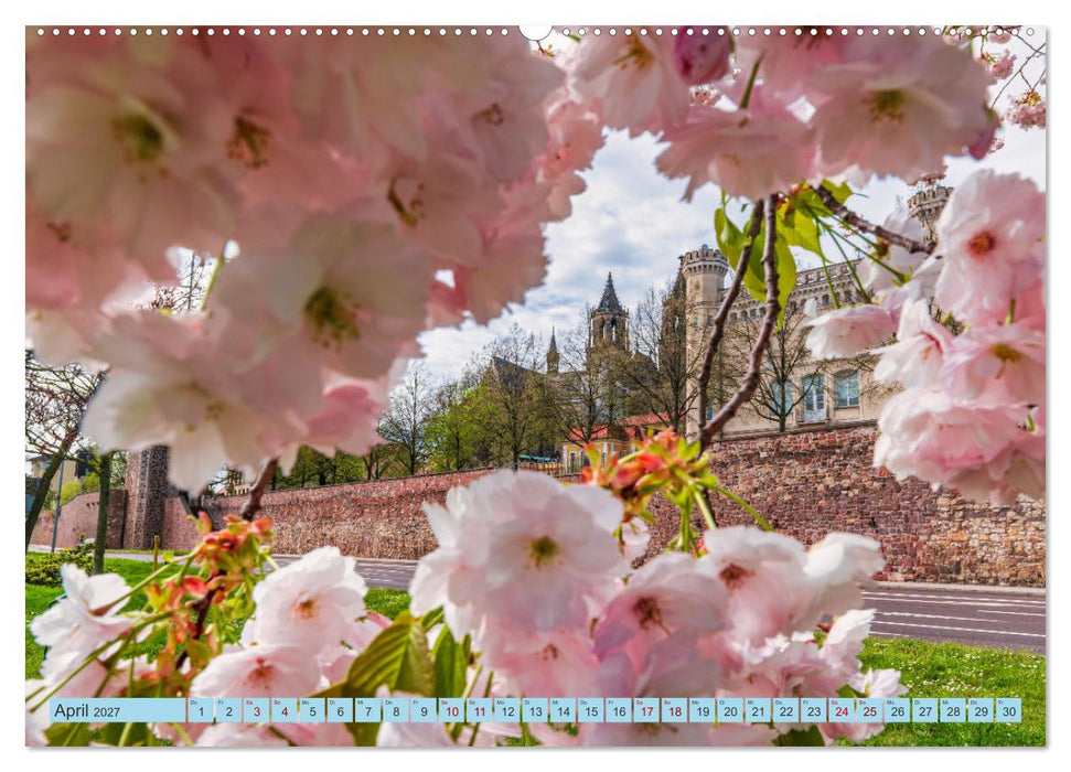Magdeburger Dom 2027 (CALVENDO Wandkalender 2027)